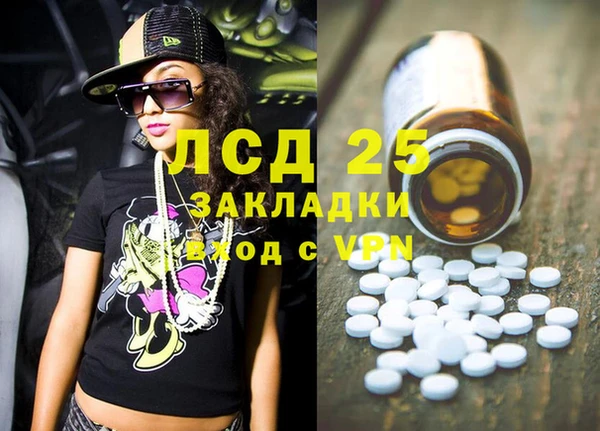 индика Березники