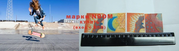 индика Медногорск