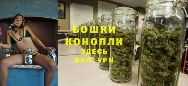 сатива Абинск
