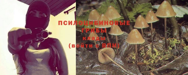сатива Абинск
