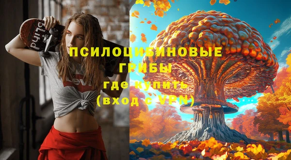 сатива Абинск