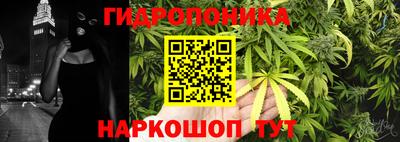 mdpv Чебоксары