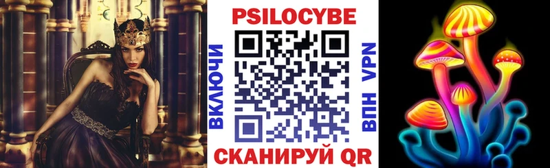 Галлюциногенные грибы Psilocybe Копейск