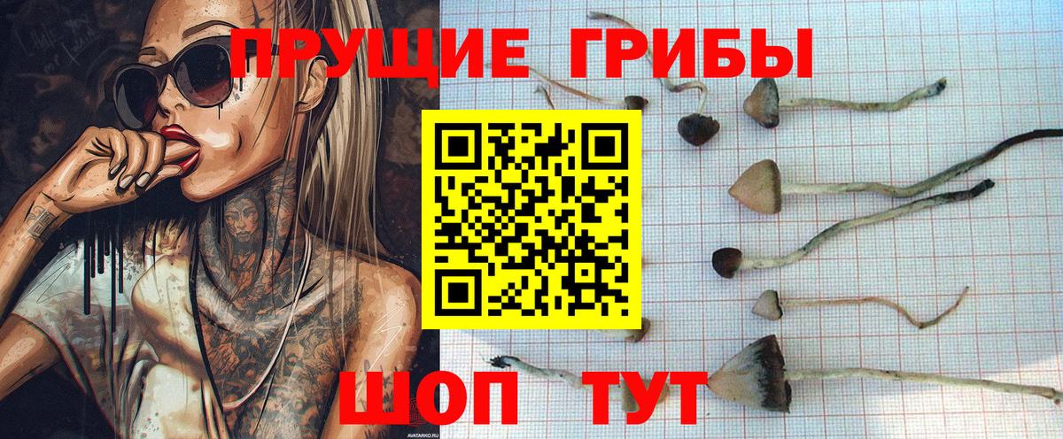 Галлюциногенные грибы мухоморы  хочу   Копейск  Вход с VPN  Псилоцибиновые грибы Psilocybe 